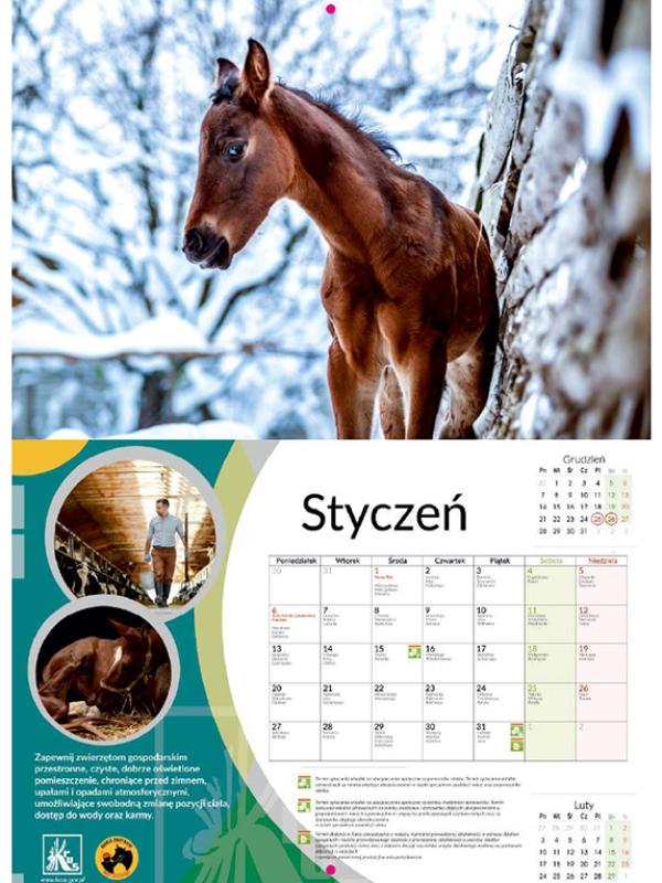 Praca konkursowa dla KRUS